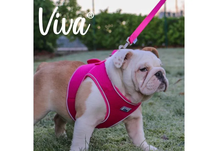 Ancol - Viva Nylon Padded Snap Lead - Pink - 100cm x 19mm (Max 50kg)