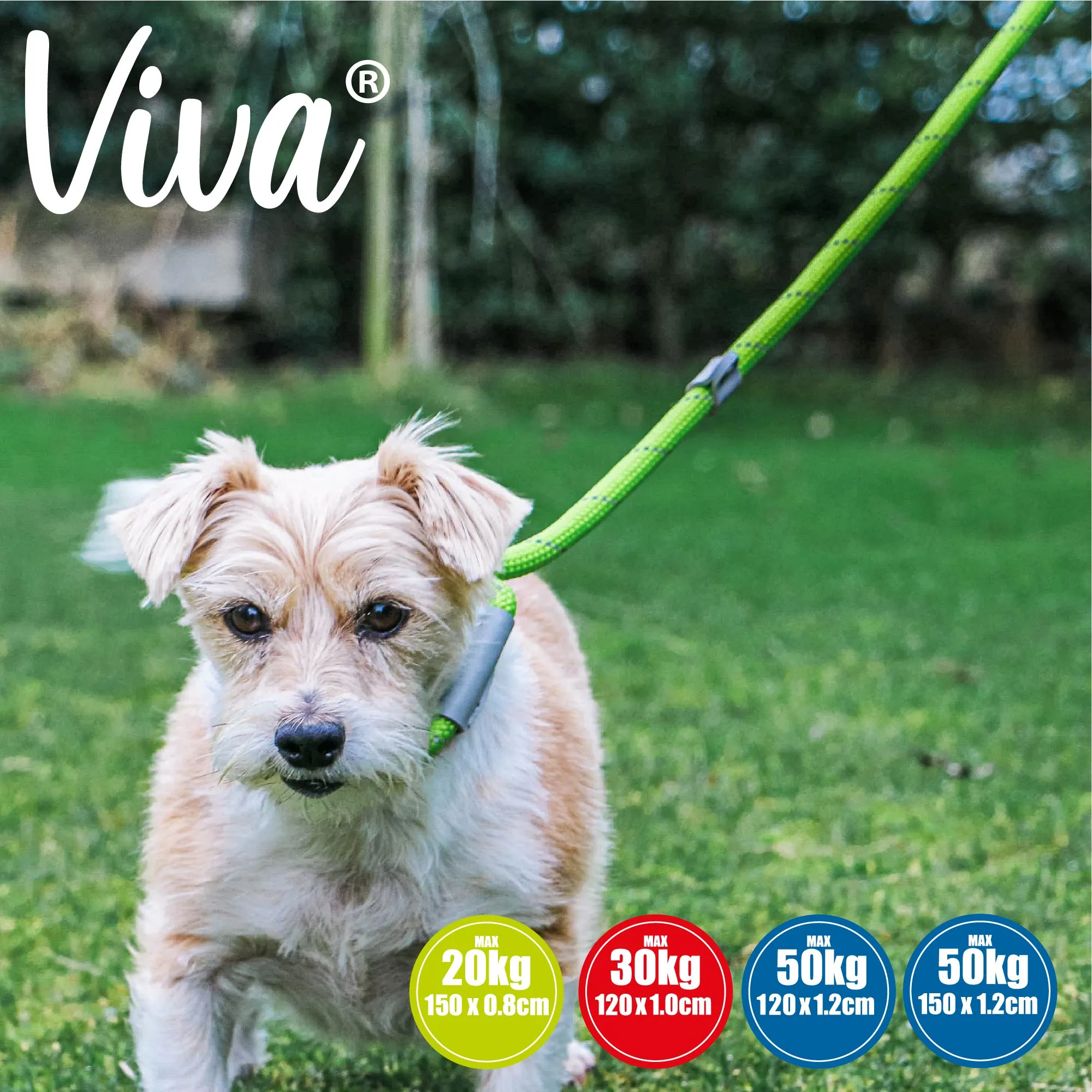 Ancol - Viva Nylon Refective Rope Slip Lead - Pink - 150cm x 12mm (max 50kg)