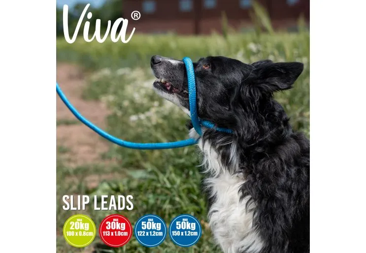 Ancol - Viva Nylon Reflective Rope Slip Lead - Red - 120cm x 12mm (Max50kg)