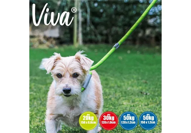 Ancol - Viva Nylon Reflective Rope Slip Lead - Red - 120cm x 12mm (Max50kg)