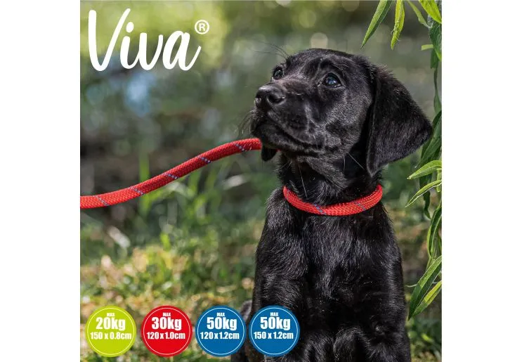 Ancol - Viva Nylon Reflective Rope Slip Lead - Red - 120cm x 12mm (Max50kg)