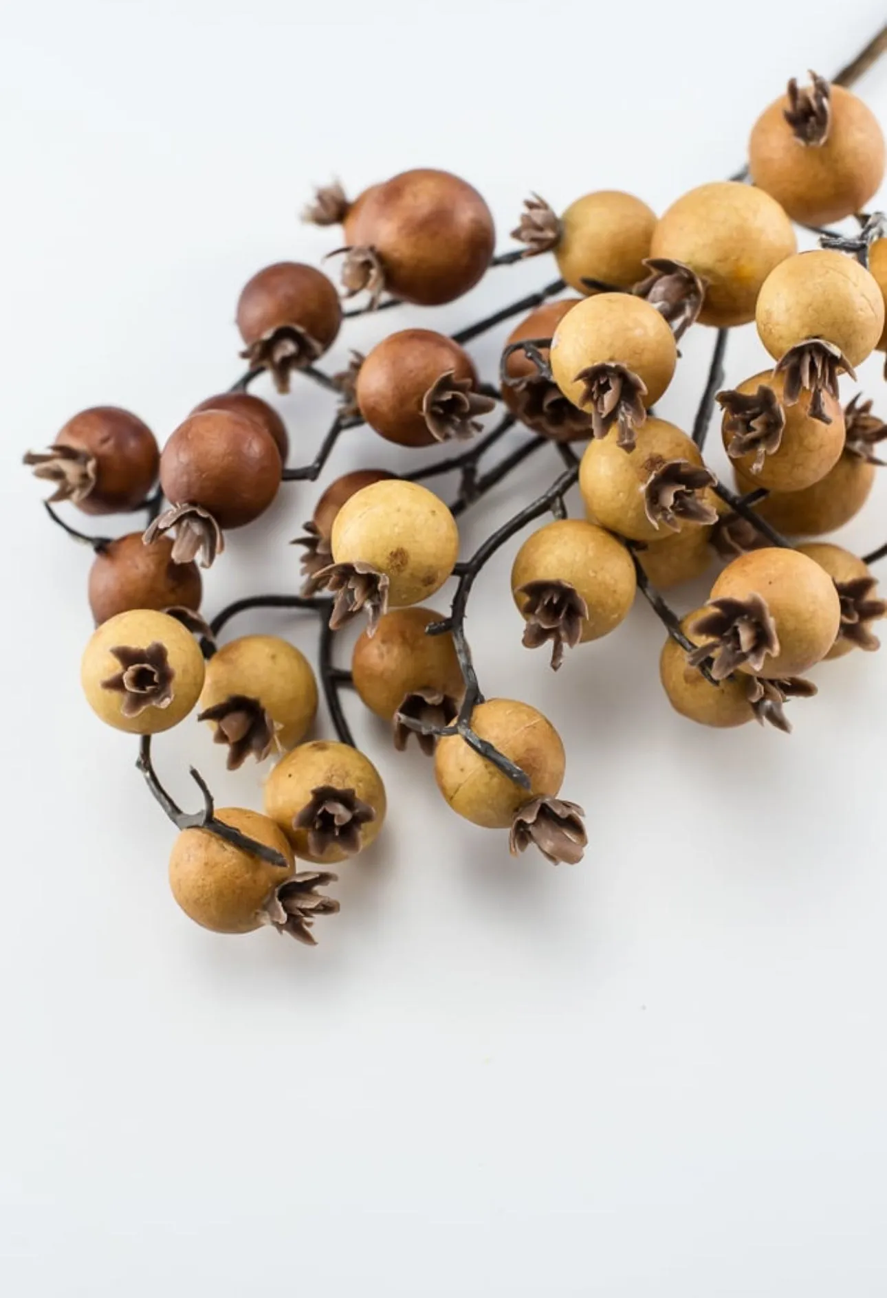 Autumn berry pick - spice