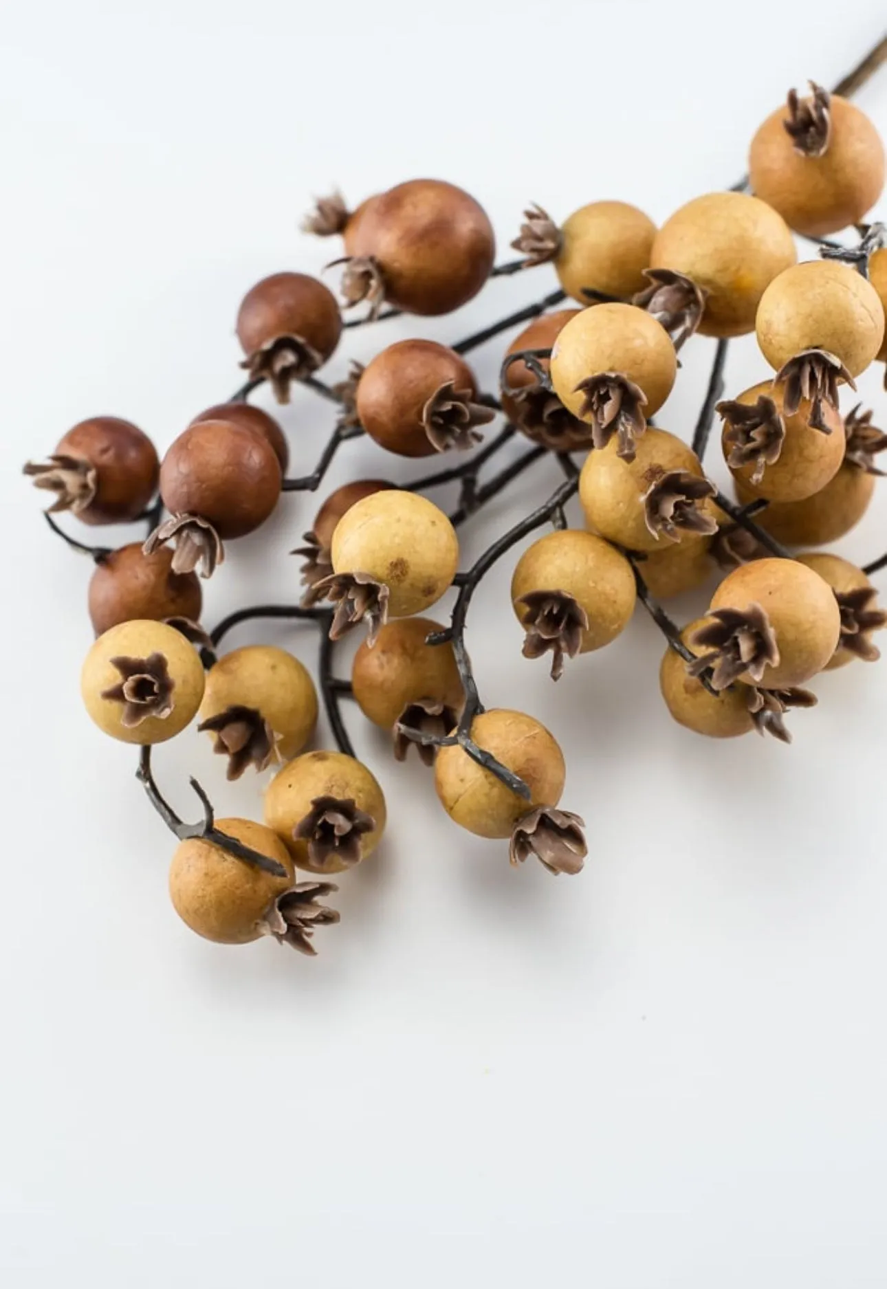 Autumn berry pick - spice