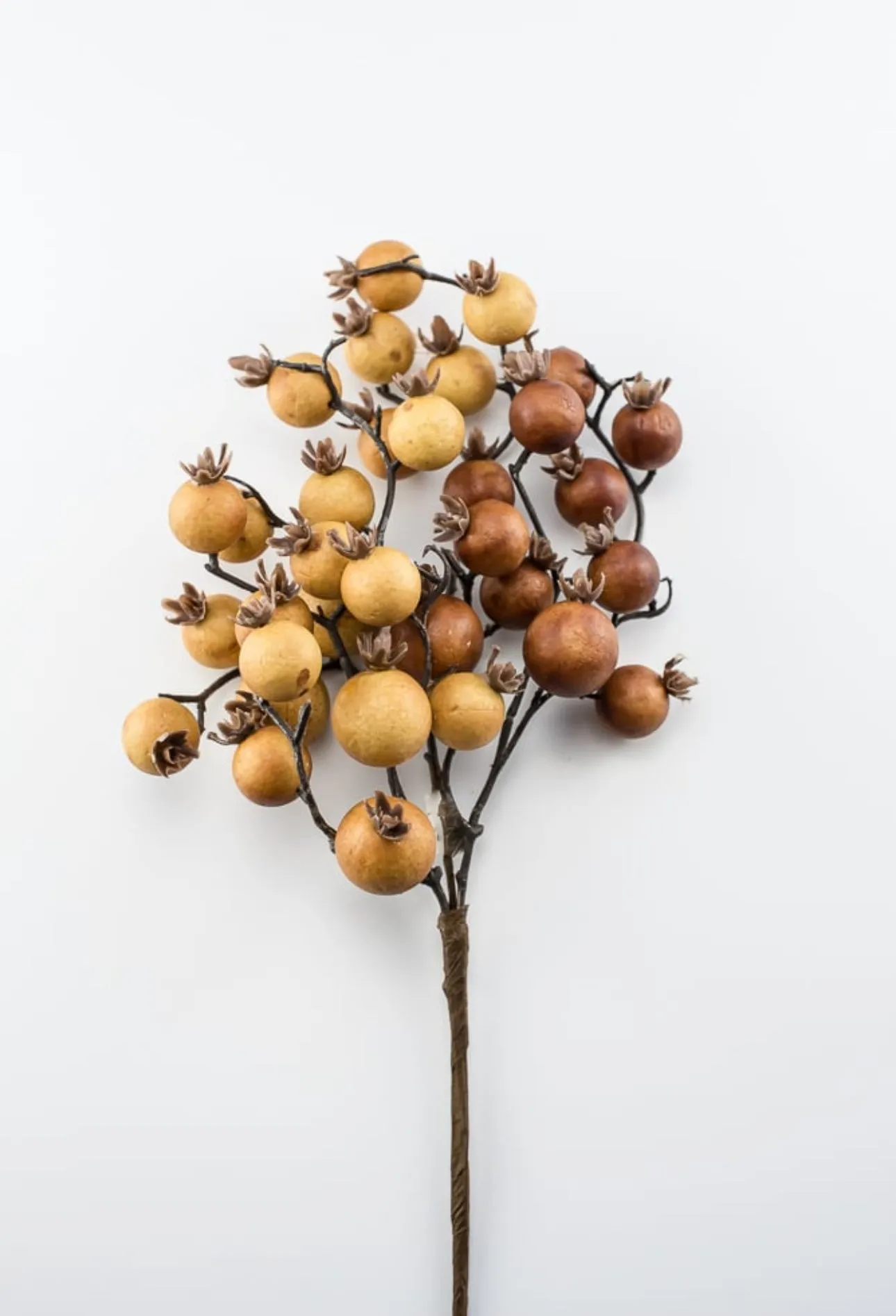 Autumn berry pick - spice