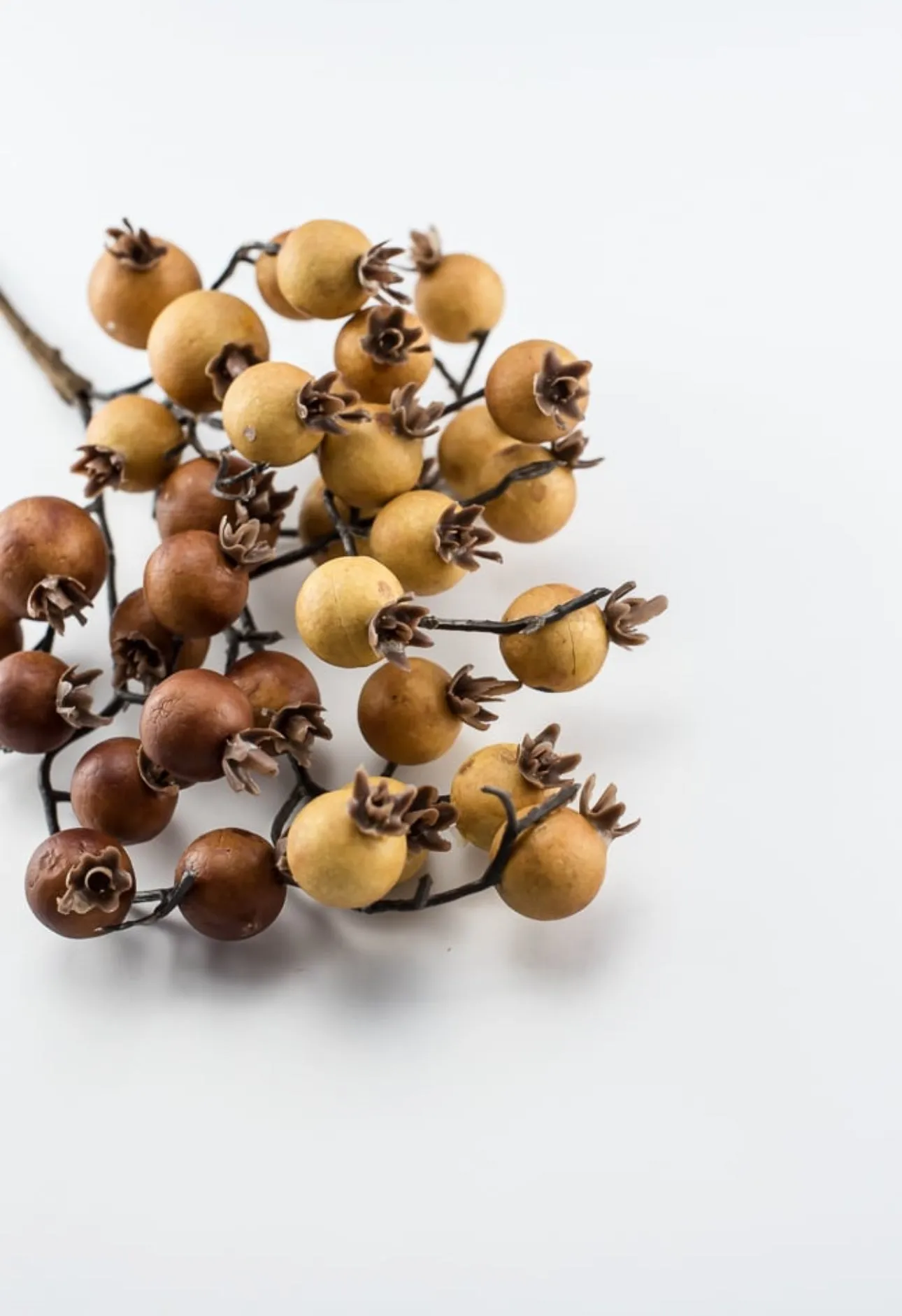 Autumn berry pick - spice