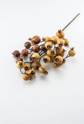Autumn berry pick - spice