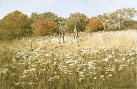 Autumn Flowers