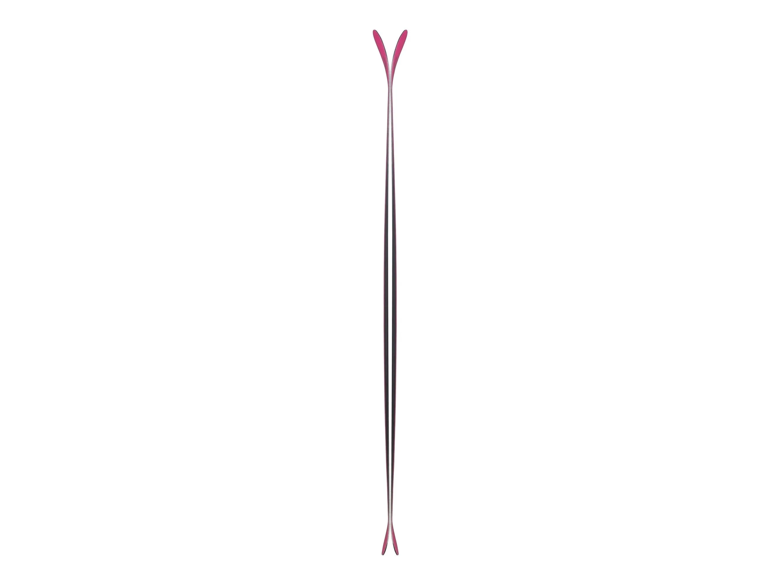 Fischer Ranger Skis