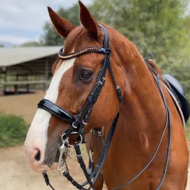 Halter Ego Crystal Patent Browband - Caramel Honey
