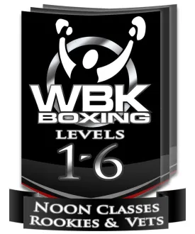 Levels 1-6 Lunchtime Classes, Round 2, November-December 2014