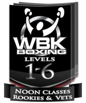 Levels 1-6 Lunchtime Classes, Round 3, January-February 2015