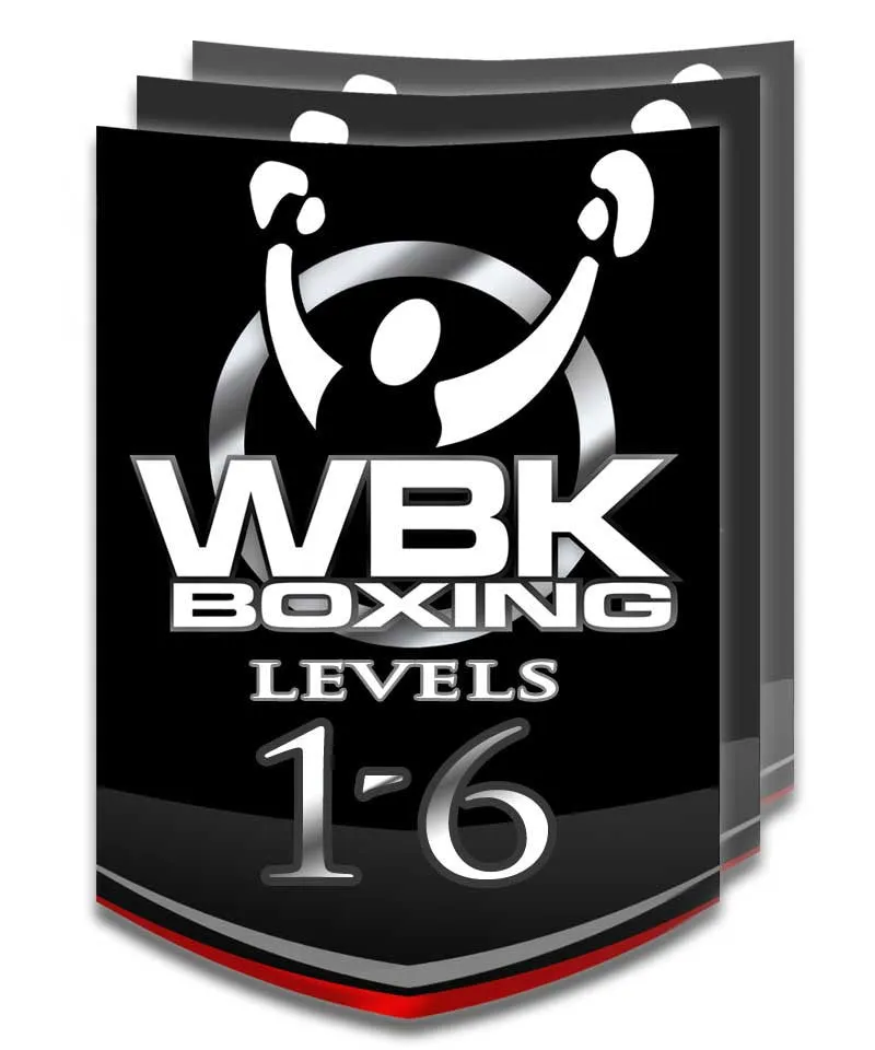 Levels 1-6, Summer Session, July-August 2014