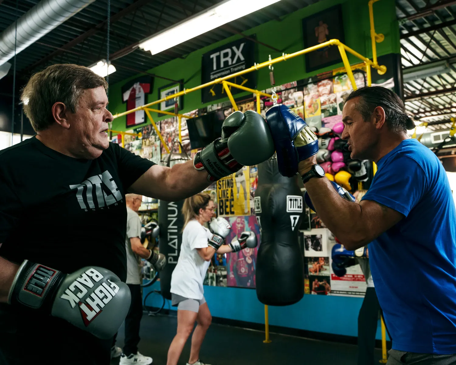 TITLE Boxing Rock Steady Micro Mitts