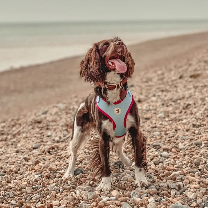 Willow Walks Adjustable Harness in aqua and fuchsia